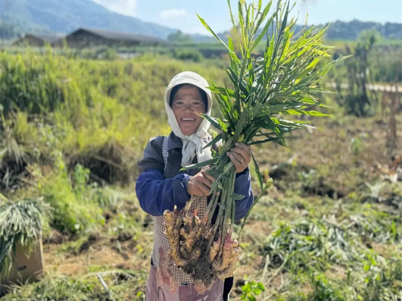 微信图片_20250102095859