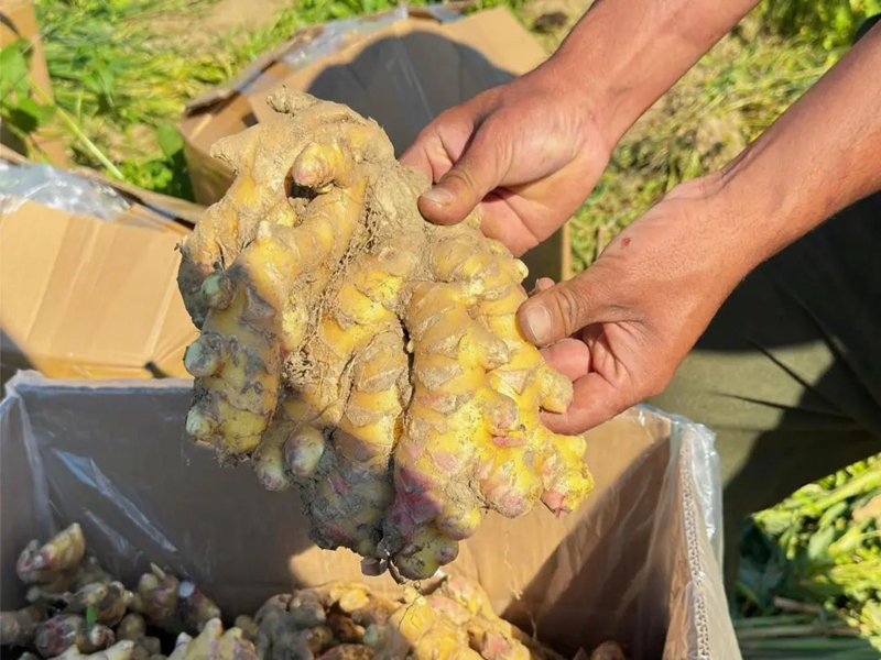 微信图片_20250102095902