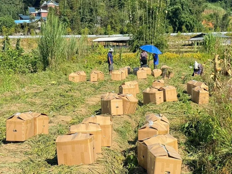 微信图片_20250102095904