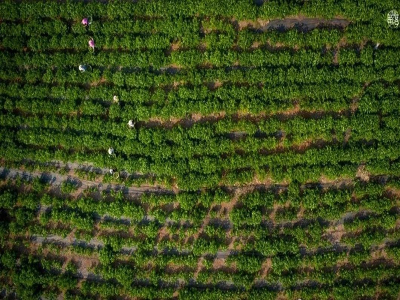 微信图片_20250123101005