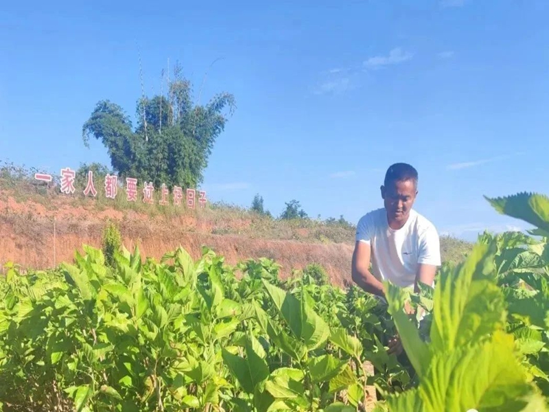 微信图片_20250123101010