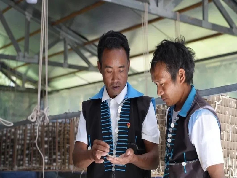 微信图片_20250123101014