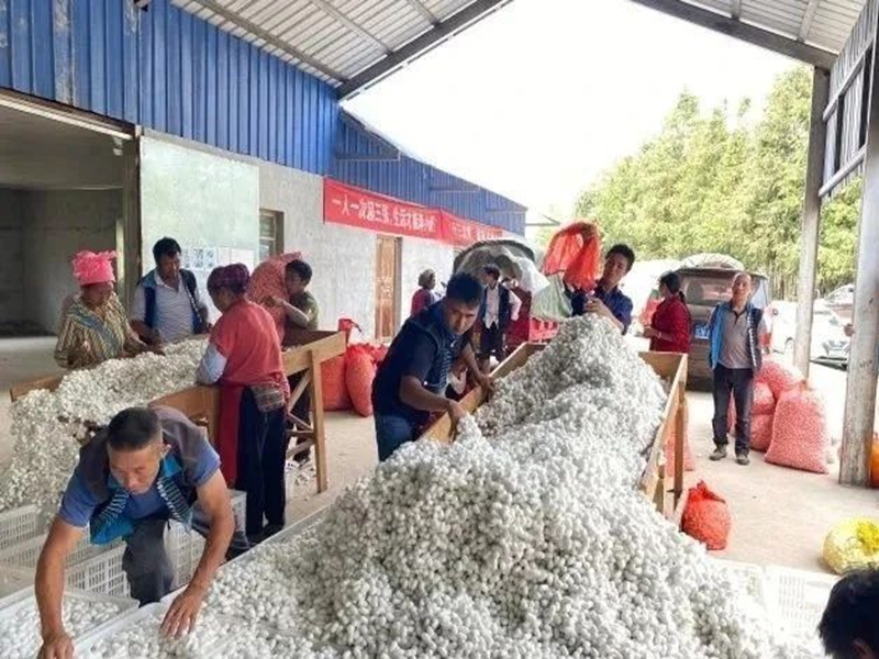 微信图片_20250123101021