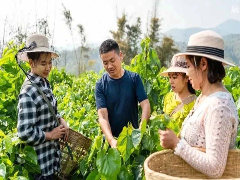 微信图片_20250123101024