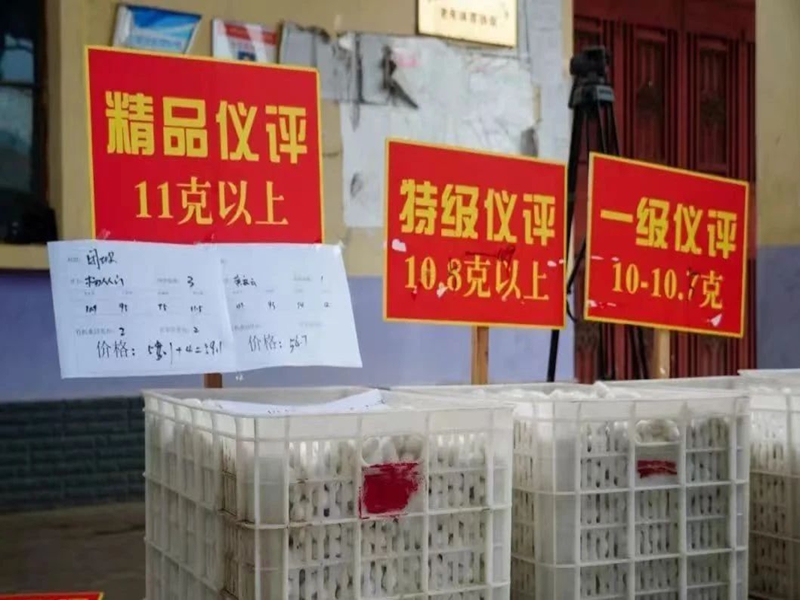 微信图片_20250123101028