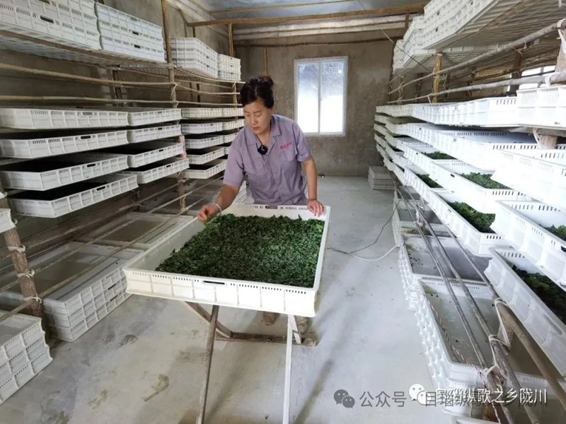 微信图片_20250123101032