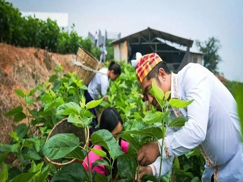 微信图片_20250123101036