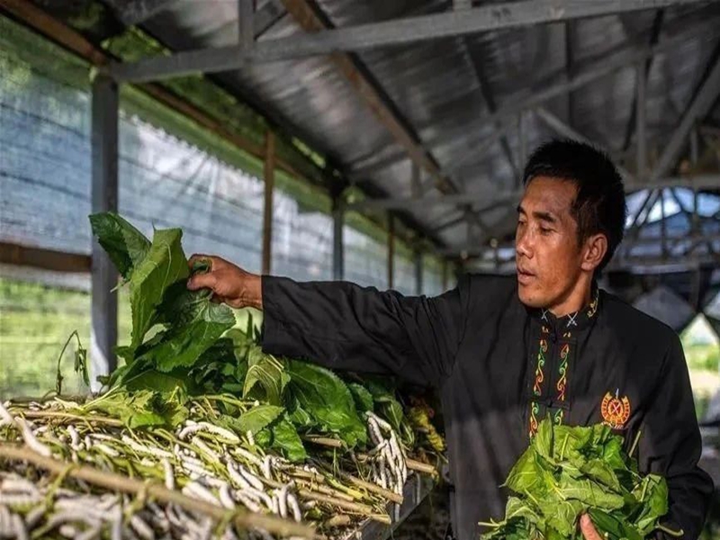 微信图片_20250123101039