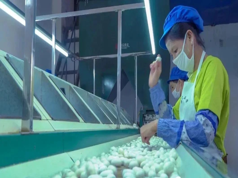 微信图片_20250123101042