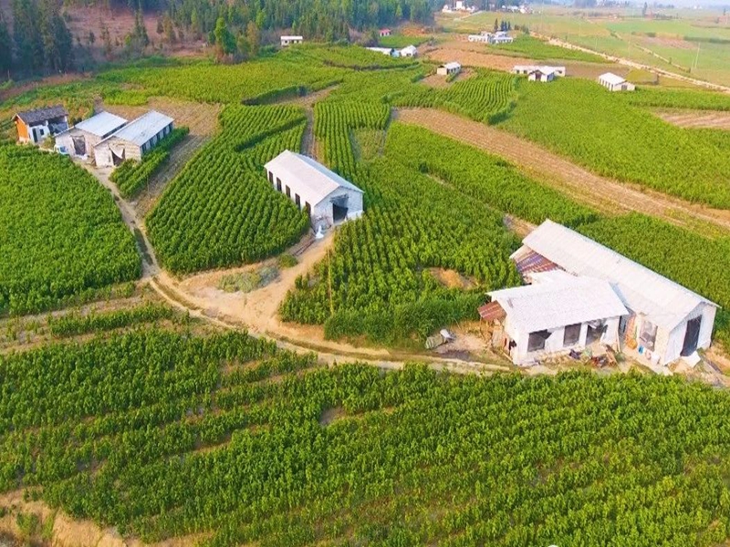 微信图片_20250123101045