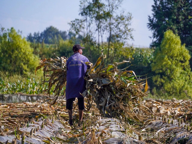 微信图片_20250124100836