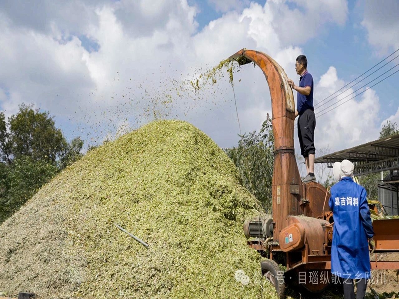 微信图片_20250124100839