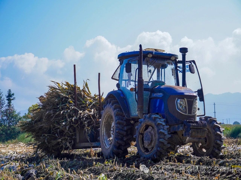 微信图片_20250124100844