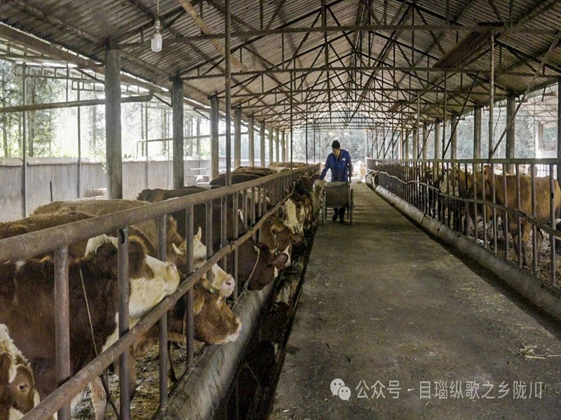 微信图片_20250124100847