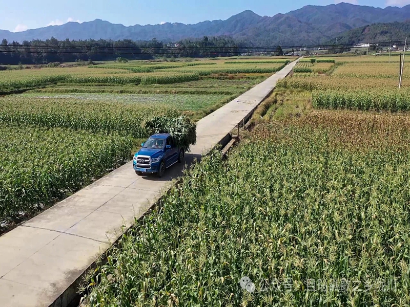 微信图片_20250124100849