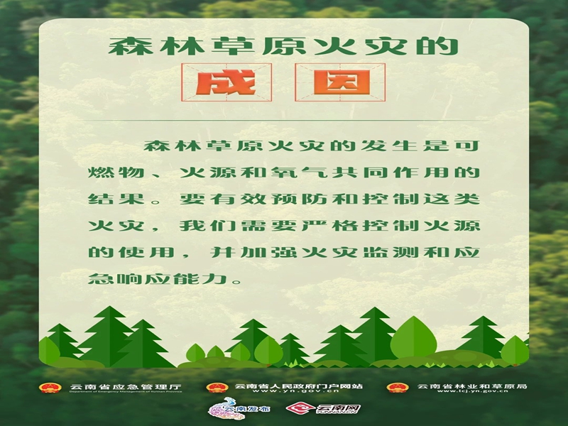 微信图片_20250219104419