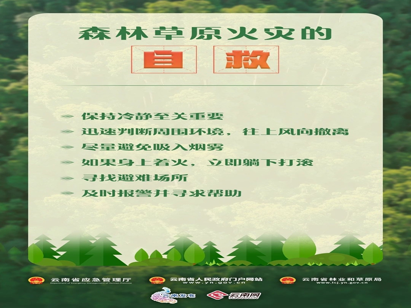 微信图片_20250219104423