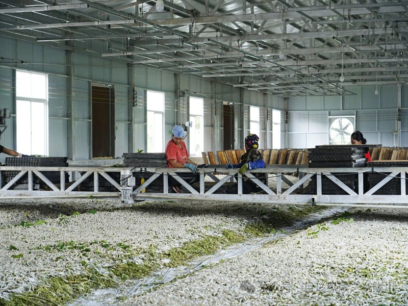 微信图片_20250219105730