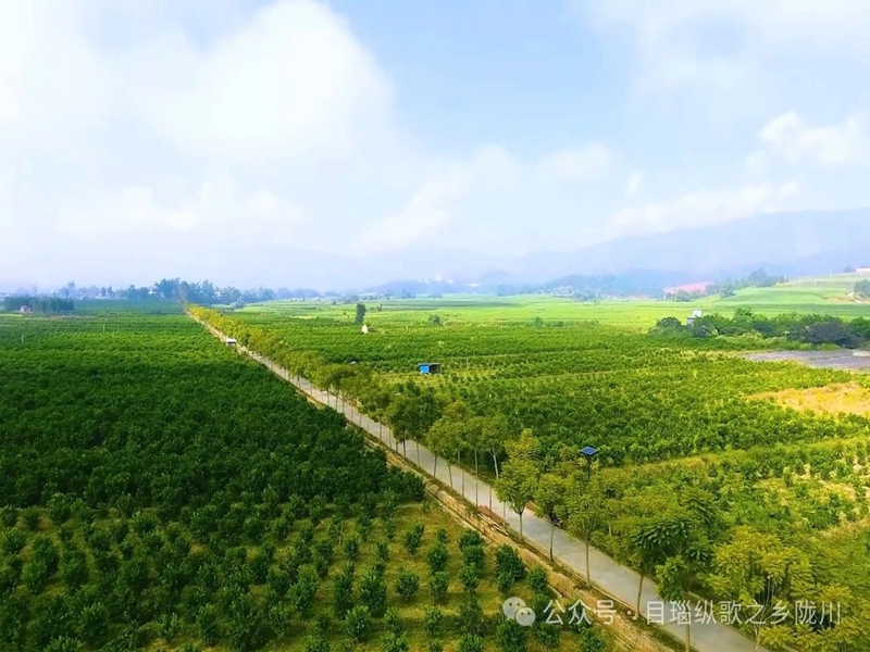 微信图片_20250219105733