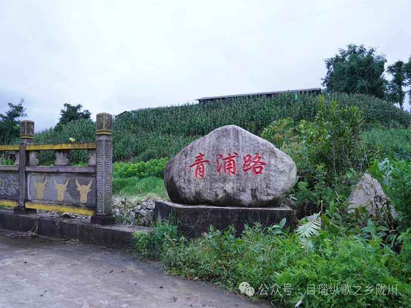 微信图片_20250219105742