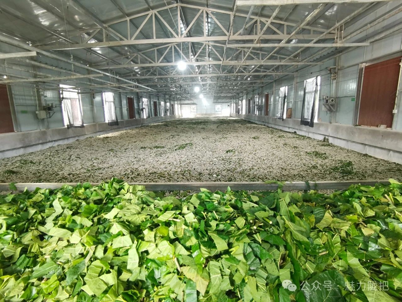 微信图片_20250219105747