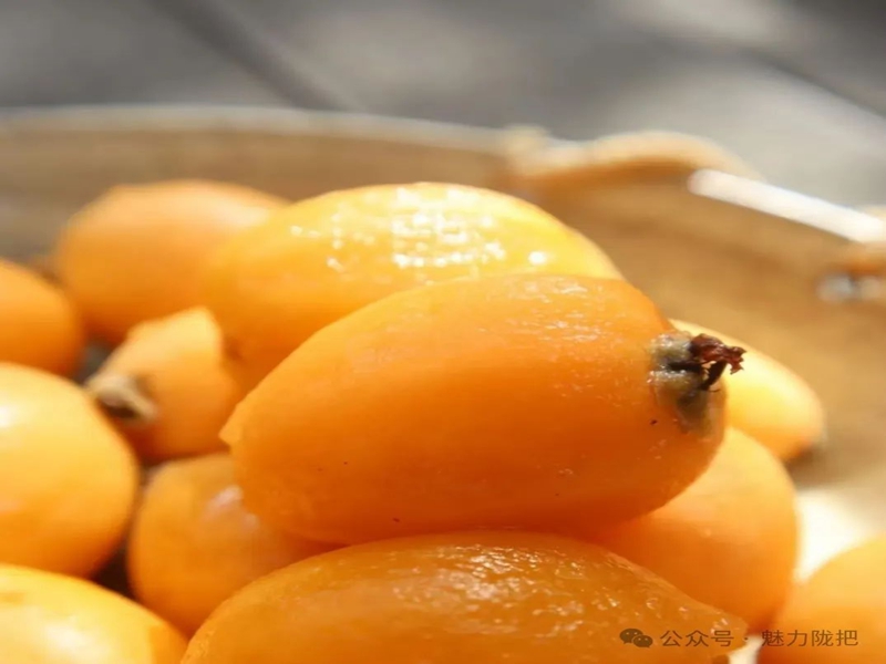 微信图片_20250318103000