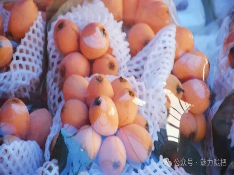 微信图片_20250318103007