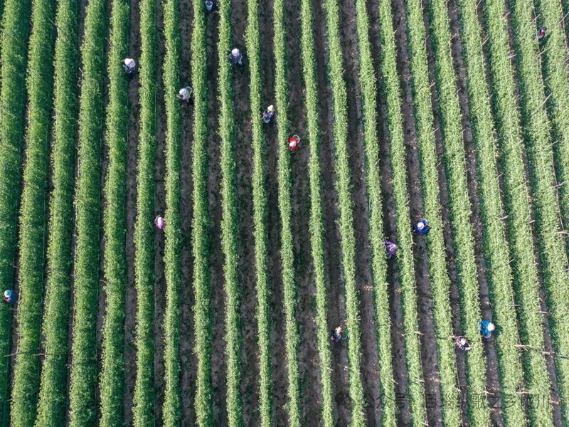 微信图片_20250416100947