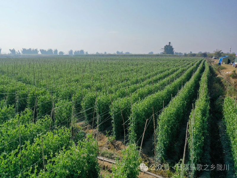 微信图片_20250416100953