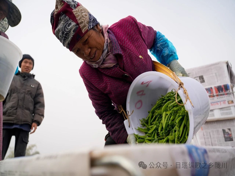 微信图片_20250416101005