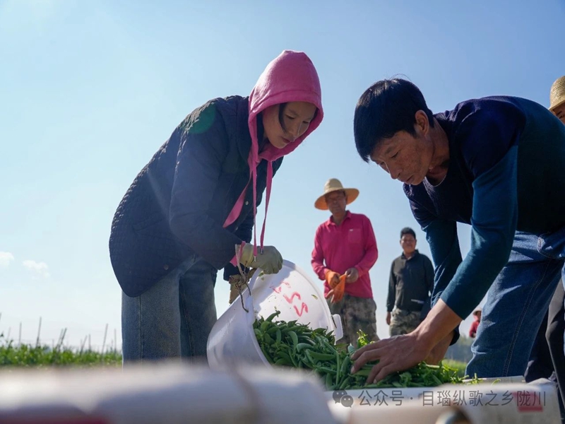 微信图片_20250416101008