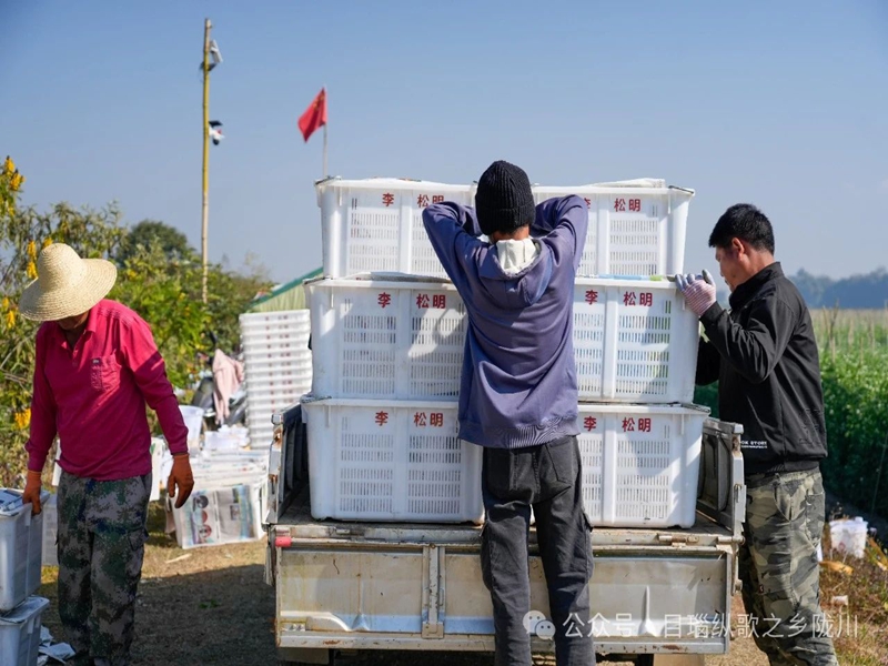 微信图片_20250416101011