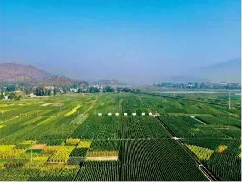 微信图片_20250416101857