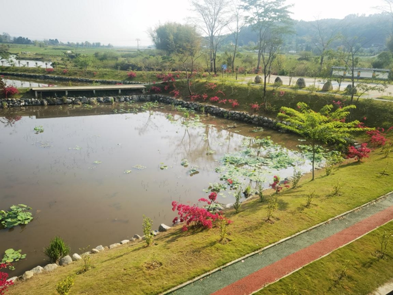 微信图片_20250610101333