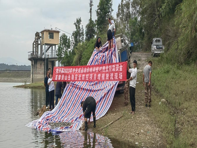 微信图片_20250610101341