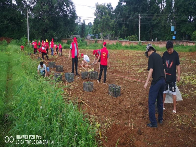 微信图片_20250610101354