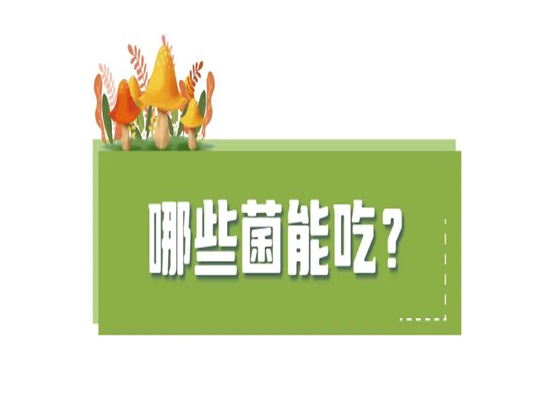 微信图片_20250613104839