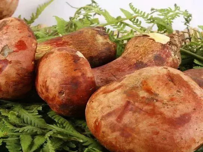 微信图片_20250613104843