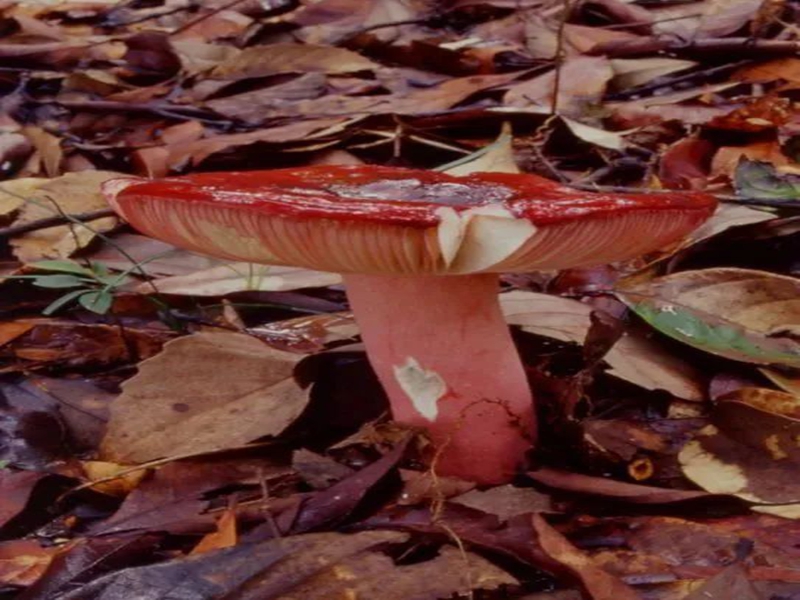 微信图片_20250613104900