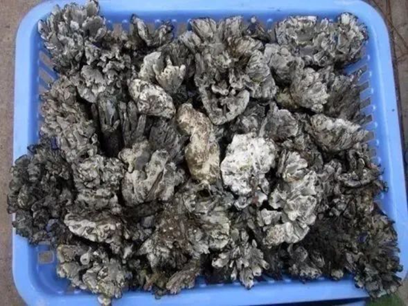 微信图片_20250613105043