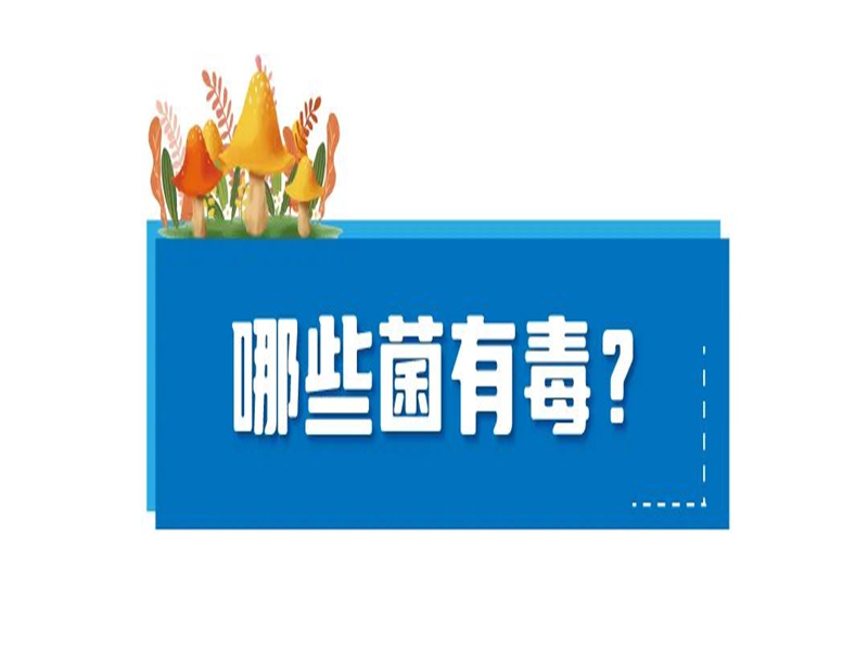 微信图片_20250613105056