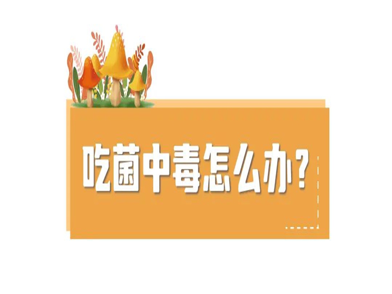 微信图片_20250613105105