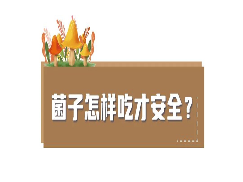 微信图片_20250613105107