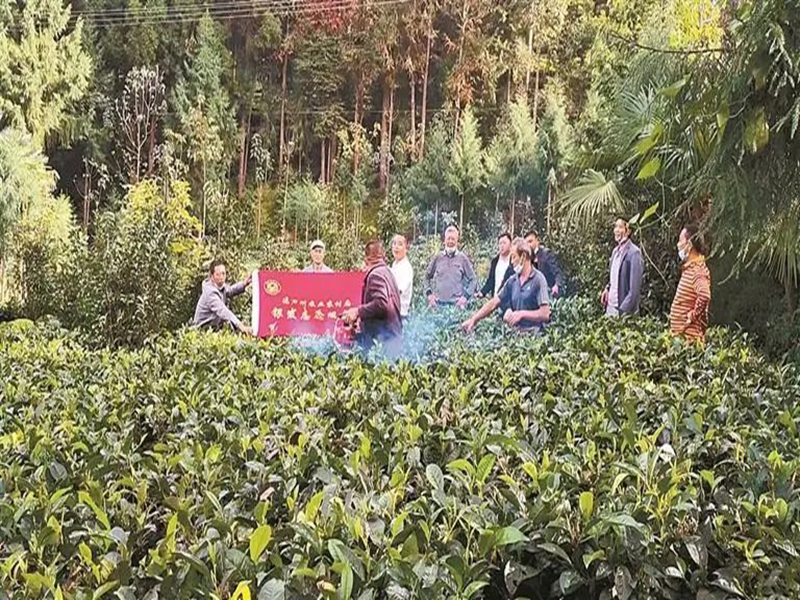 微信图片_20250709094753