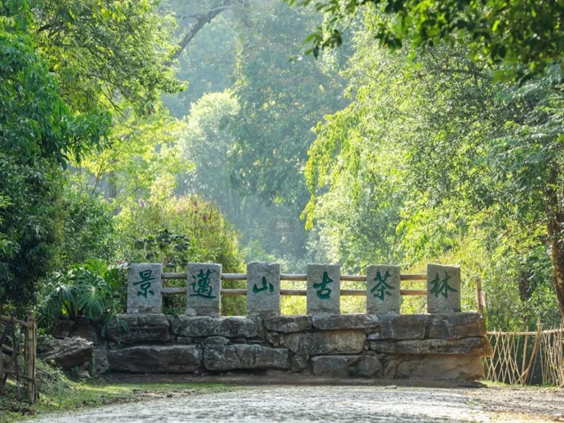 微信图片_2025-08-08_100114_136