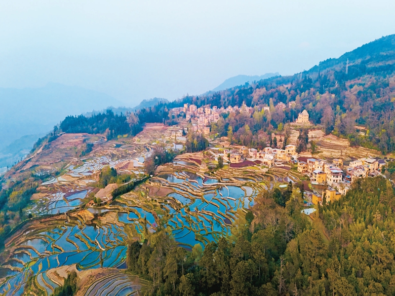 微信图片_2025-08-08_171753_743