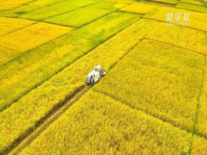 微信图片_2025-08-08_172410_689