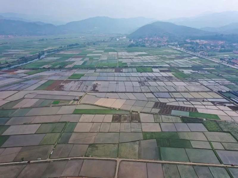 微信图片_2025-08-08_172413_756