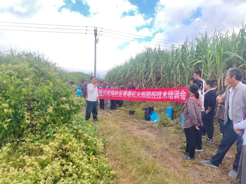 微信图片_2025-12-05_112649_957