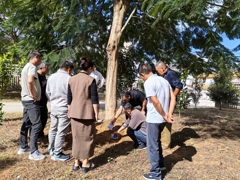 微信图片_2025-12-05_112709_309